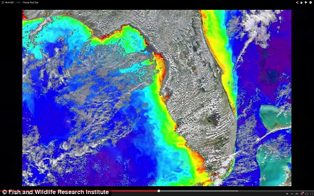 The dark red tide is clearly visible on the right-hand side, and more sparsely on the bottom left-hand side